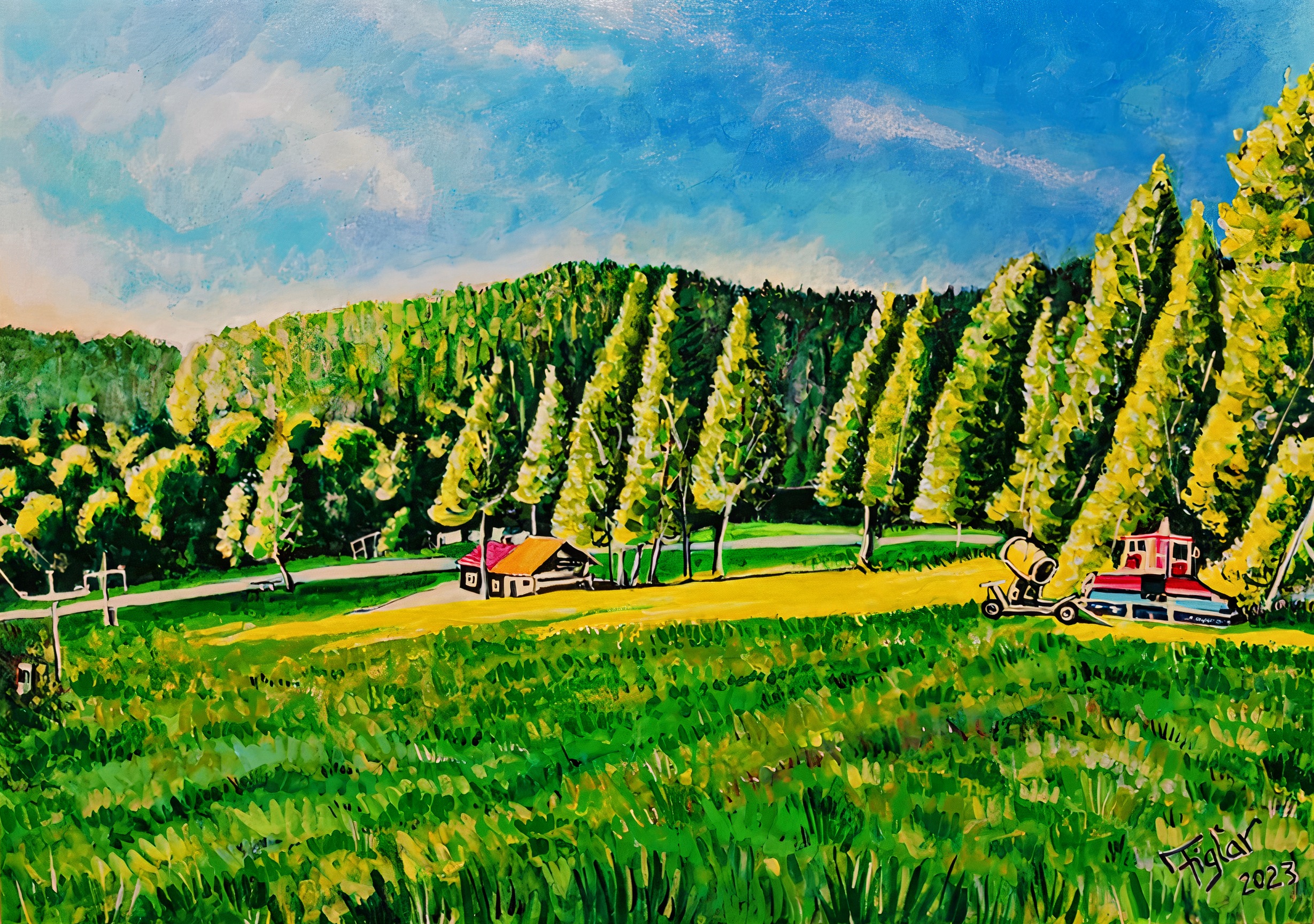 Ski Zahura Summer by Janko Figlar